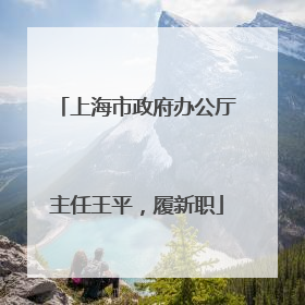 上海市政府办公厅主任王平，履新职