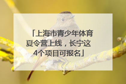 上海市青少年体育夏令营上线，长宁这4个项目可报名