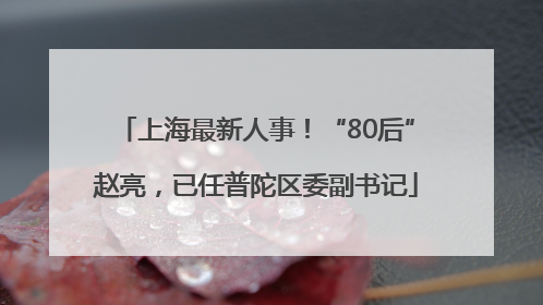 上海最新人事！“80后”赵亮，已任普陀区委副书记
