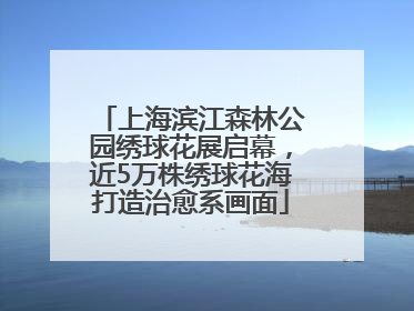 上海滨江森林公园绣球花展启幕，近5万株绣球花海打造治愈系画面
