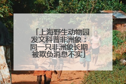 上海野生动物园发文科普非洲象：同一只非洲象长期被欺负消息不实