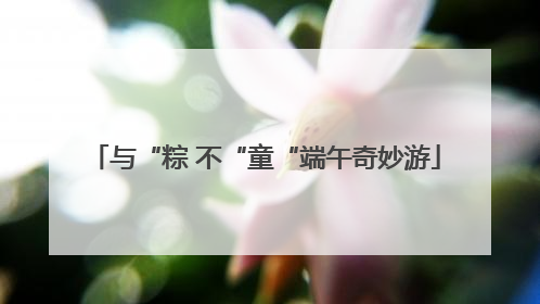 与“粽 不“童“端午奇妙游