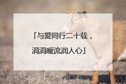 与爱同行二十载，涓涓暖流润人心