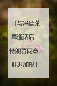 与冯德莱恩通话后 特朗普同意推迟加税