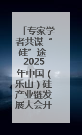专家学者共谋“硅”途 2025年中国（乐山）硅产业链发展大会开幕
