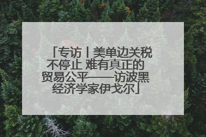 专访丨美单边关税不停止 难有真正的贸易公平——访波黑经济学家伊戈尔