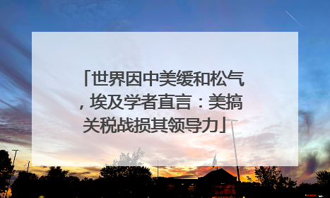 世界因中美缓和松气，埃及学者直言：美搞关税战损其领导力
