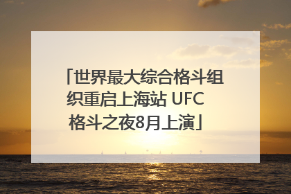 世界最大综合格斗组织重启上海站 UFC格斗之夜8月上演