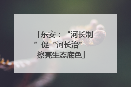 东安：“河长制”促“河长治” 擦亮生态底色