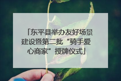东平县举办友好场景建设暨第二批“骑手爱心商家”授牌仪式