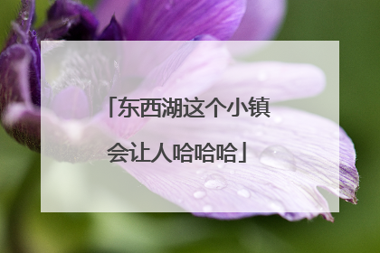 东西湖这个小镇会让人哈哈哈
