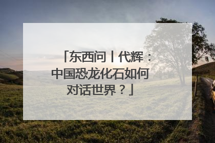 东西问丨代辉：中国恐龙化石如何对话世界？