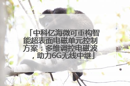 中科亿海微可重构智能超表面电磁单元控制方案：多维调控电磁波，助力6G无线中继