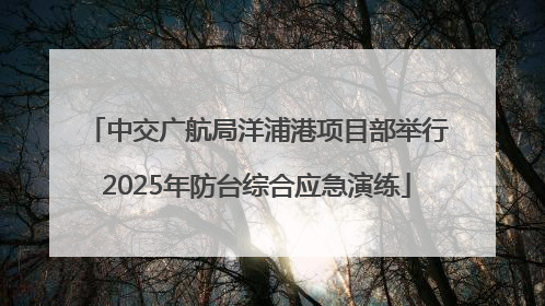中交广航局洋浦港项目部举行2025年防台综合应急演练