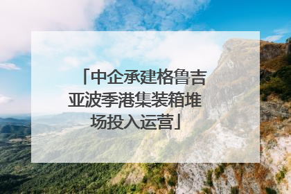 中企承建格鲁吉亚波季港集装箱堆场投入运营