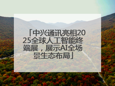中兴通讯亮相2025全球人工智能终端展，展示AI全场景生态布局