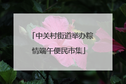 中关村街道举办粽情端午便民市集