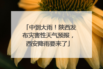 中到大雨！陕西发布灾害性天气预报，西安降雨要来了