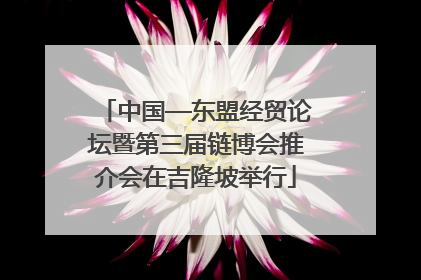 中国—东盟经贸论坛暨第三届链博会推介会在吉隆坡举行
