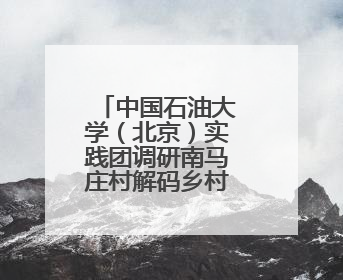 中国石油大学（北京）实践团调研南马庄村解码乡村振兴新路径