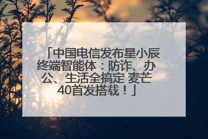 中国电信发布星小辰终端智能体：防诈、办公、生活全搞定 麦芒40首发搭载！