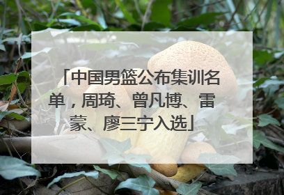 中国男篮公布集训名单，周琦、曾凡博、雷蒙、廖三宁入选