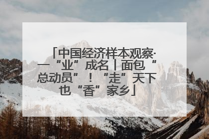 中国经济样本观察·一“业”成名丨面包“总动员”！“走”天下也“香”家乡