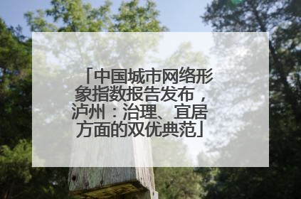 中国城市网络形象指数报告发布，泸州：治理、宜居方面的双优典范