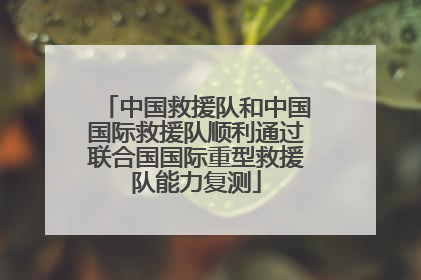 中国救援队和中国国际救援队顺利通过联合国国际重型救援队能力复测