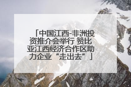中国江西-非洲投资推介会举行 赞比亚江西经济合作区助力企业“走出去”