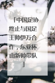 中国足协终止与国足主帅伊万合作，东亚杯由新帅带队