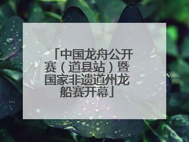 中国龙舟公开赛（道县站）暨国家非遗道州龙船赛开幕