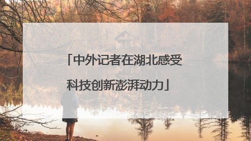 中外记者在湖北感受科技创新澎湃动力