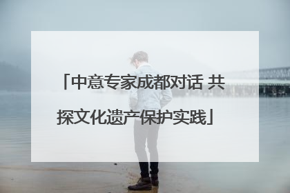 中意专家成都对话 共探文化遗产保护实践