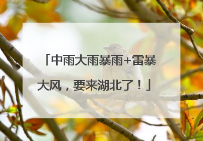 中雨大雨暴雨+雷暴大风，要来湖北了！