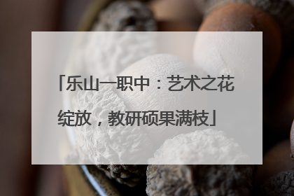 乐山一职中：艺术之花绽放，教研硕果满枝