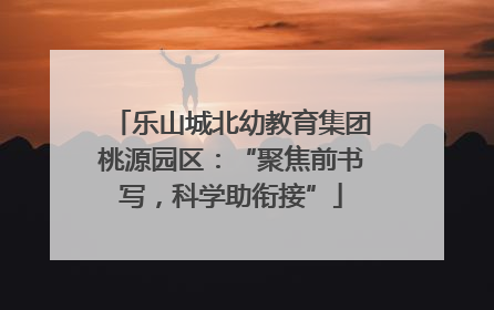乐山城北幼教育集团桃源园区：“聚焦前书写，科学助衔接”