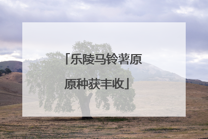 乐陵马铃薯原原种获丰收
