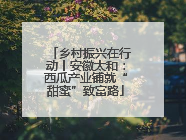 乡村振兴在行动丨安徽太和：西瓜产业铺就“甜蜜”致富路