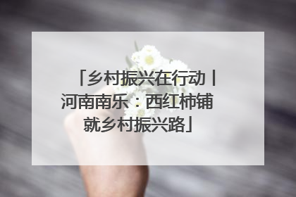 乡村振兴在行动丨河南南乐：西红柿铺就乡村振兴路