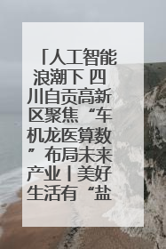人工智能浪潮下 四川自贡高新区聚焦“车机龙医算数”布局未来产业丨美好生活有“盐”味