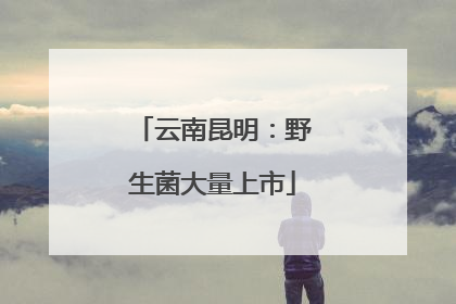 云南昆明：野生菌大量上市