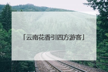 云南花香引四方游客