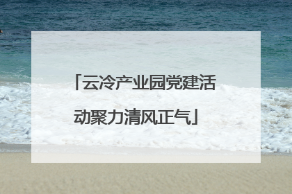 云冷产业园党建活动聚力清风正气