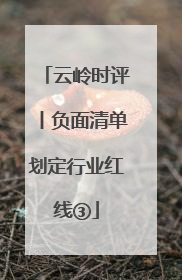 云岭时评丨负面清单划定行业红线③