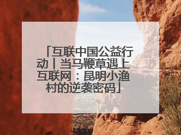 互联中国公益行动丨当马鞭草遇上互联网：昆明小渔村的逆袭密码