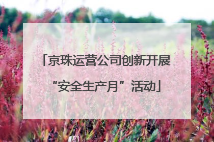 京珠运营公司创新开展“安全生产月”活动