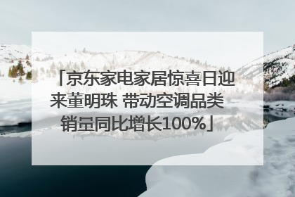 京东家电家居惊喜日迎来董明珠 带动空调品类销量同比增长100%