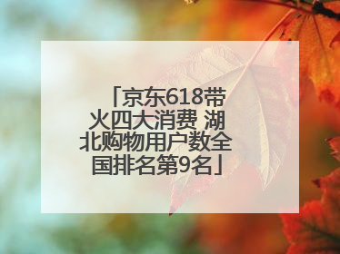 京东618带火四大消费 湖北购物用户数全国排名第9名