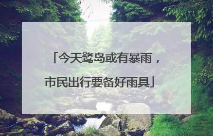 今天鹭岛或有暴雨，市民出行要备好雨具